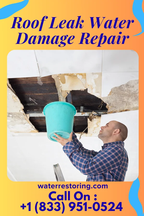 Roof Leak Water Damage Repair in Windthorst, TX